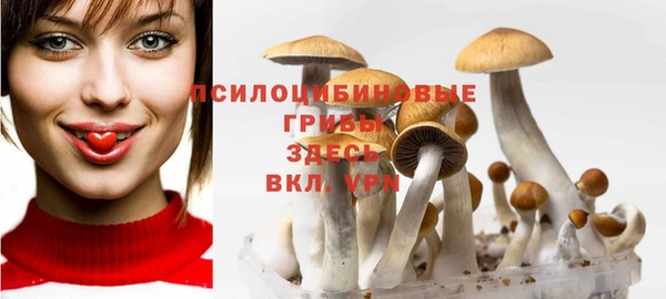 МДМА Арсеньев