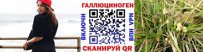 наркошоп Макаров Псилоцибиновые грибы Magic Shrooms
